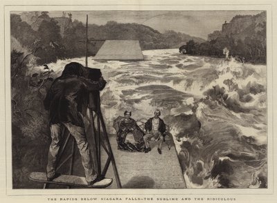 Le rapide sotto le cascate del Niagara, il sublime e il ridicolo da Edward John Gregory